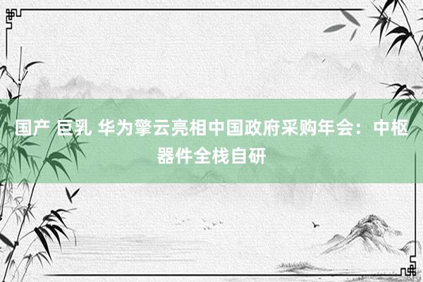 国产 巨乳 华为擎云亮相中国政府采购年会：中枢器件全栈自研