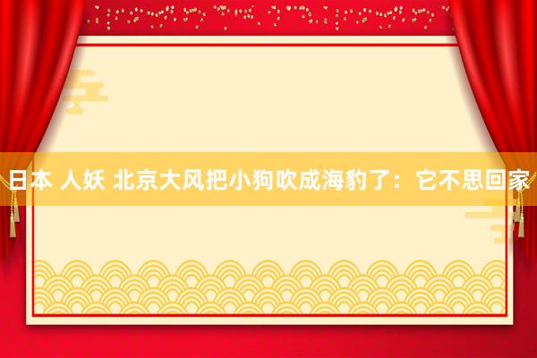 日本 人妖 北京大风把小狗吹成海豹了：它不思回家