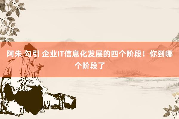 阿朱 勾引 企业IT信息化发展的四个阶段！你到哪个阶段了