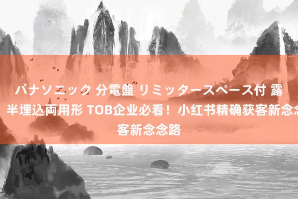 パナソニック 分電盤 リミッタースペース付 露出・半埋込両用形 TOB企业必看！小红书精确获客新念念路