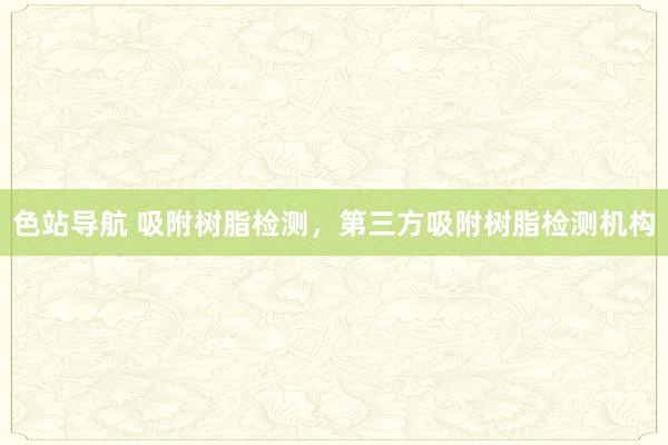 色站导航 吸附树脂检测，第三方吸附树脂检测机构