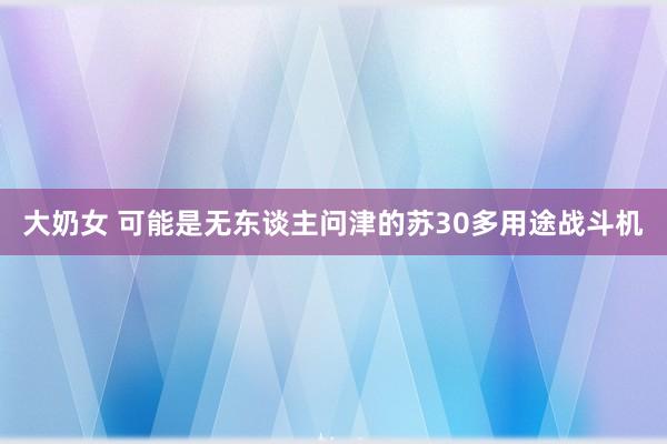 大奶女 可能是无东谈主问津的苏30多用途战斗机
