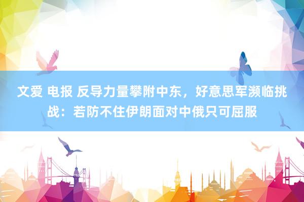 文爱 电报 反导力量攀附中东，好意思军濒临挑战：若防不住伊朗面对中俄只可屈服