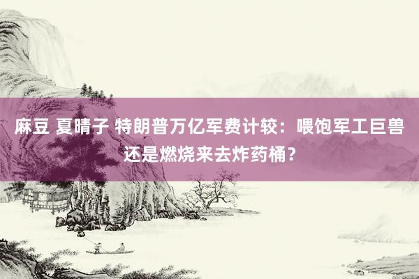 麻豆 夏晴子 特朗普万亿军费计较：喂饱军工巨兽还是燃烧来去炸药桶？