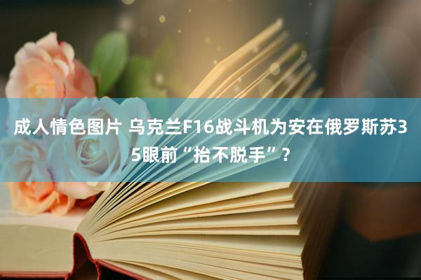 成人情色图片 乌克兰F16战斗机为安在俄罗斯苏35眼前“抬不脱手”？