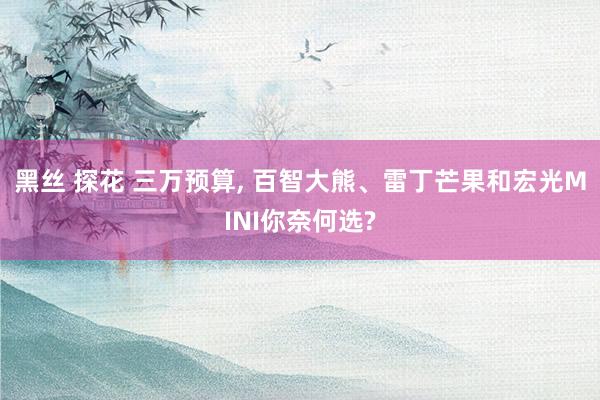 黑丝 探花 三万预算, 百智大熊、雷丁芒果和宏光MINI你奈何选?