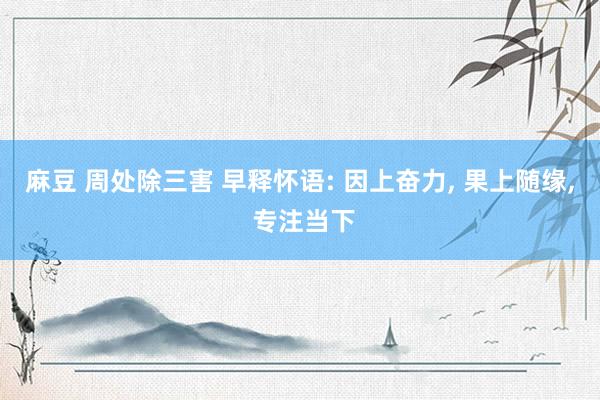 麻豆 周处除三害 早释怀语: 因上奋力, 果上随缘, 专注当下