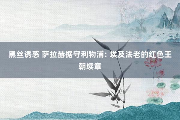 黑丝诱惑 萨拉赫据守利物浦: 埃及法老的红色王朝续章