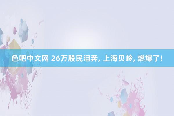 色吧中文网 26万股民泪奔, 上海贝岭, 燃爆了!