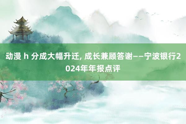 动漫 h 分成大幅升迁, 成长兼顾答谢——宁波银行2024年年报点评