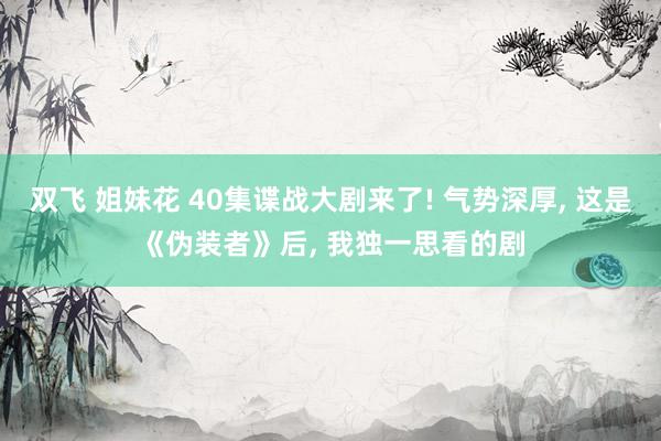 双飞 姐妹花 40集谍战大剧来了! 气势深厚, 这是《伪装者》后, 我独一思看的剧